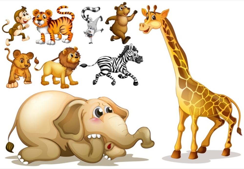 Illustration of a set of many animals